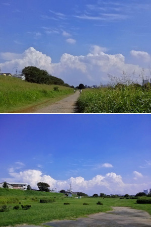 世田谷246ハーフマラソンに向けて