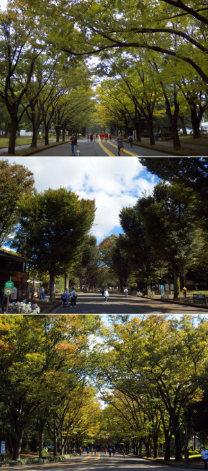 駒沢公園