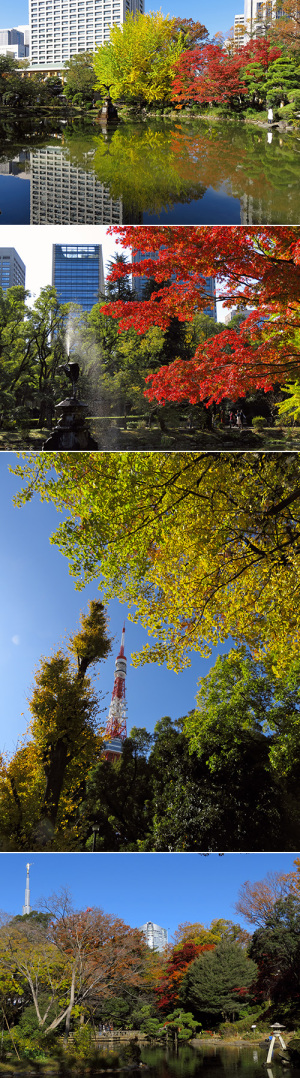都内公園 紅葉ラン
